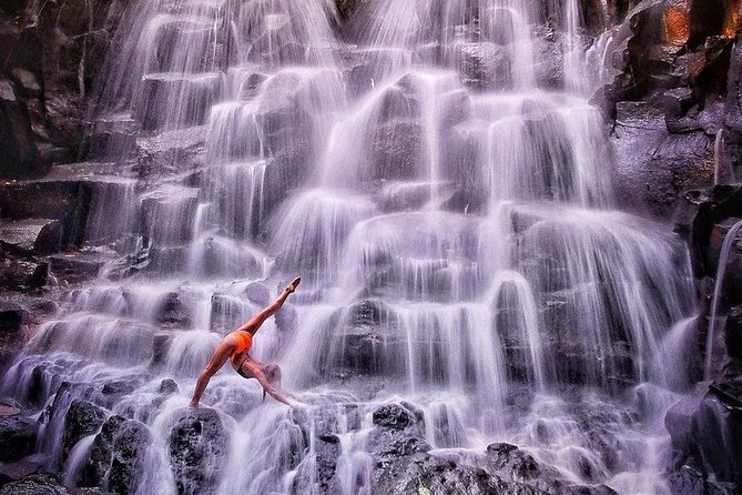 Ubud Jungle Swing, Temple & Waterfall Tour (Private Half Day Tour) - Additional Info