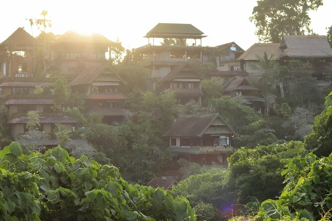 Ubud Tour With Sacred Monkey Forest Sanctuary - Waterfall - Rice Terrace - Customer Testimonials and Highlights