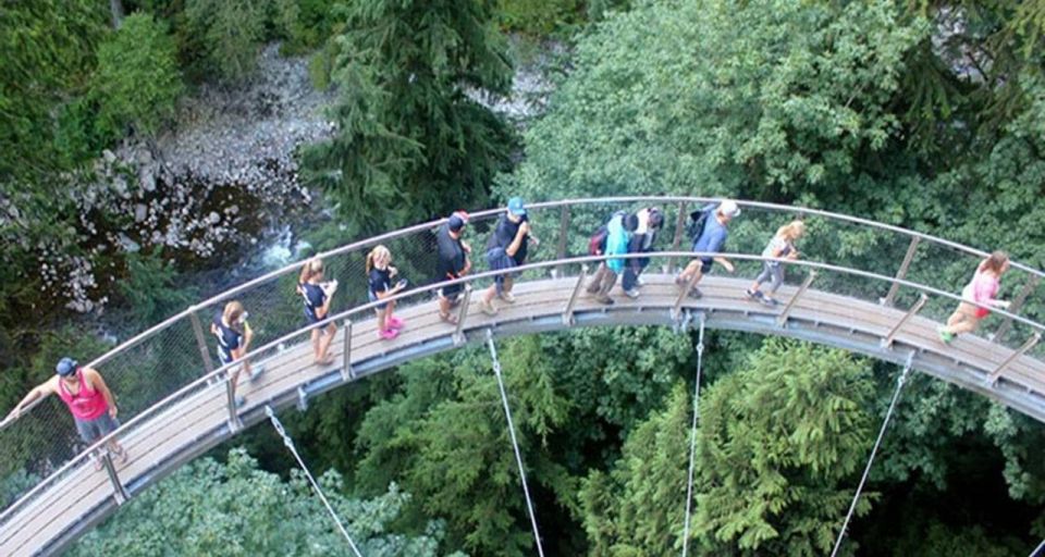 Vancouver Day TripGrouse Mountain&Capilano Suspension - Experience Highlights