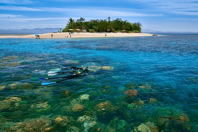 Wavedancer Low Isles Great Barrier Reef Sailing Cruise From Palm Cove - Traveler Experiences