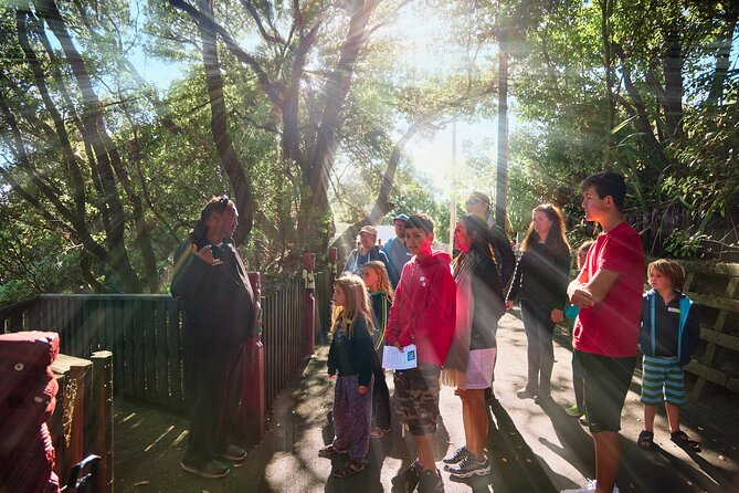 Whaka Trails and Maori Village Combo Tour - Visitor Testimonials