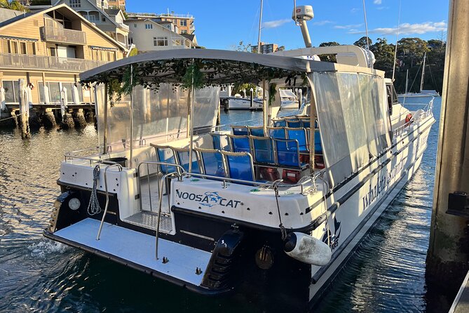 Whale Watching Boat Trip in Sydney - Customer Reviews