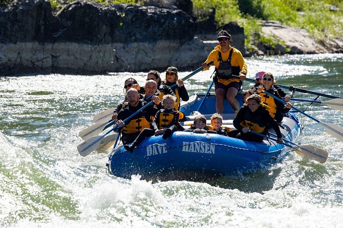 Whitewater Rafting in Jackson Hole : Family Standard Raft - Guide Team and Wildlife Interaction