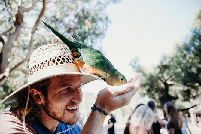 Yarra Valley Quality Wine Tour: Chandon, Dominque Portet Gin - Booking Information