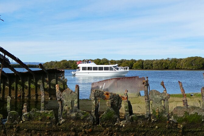 90 Minute Port River Dolphin & Ships Graveyard Cruise - Key Points