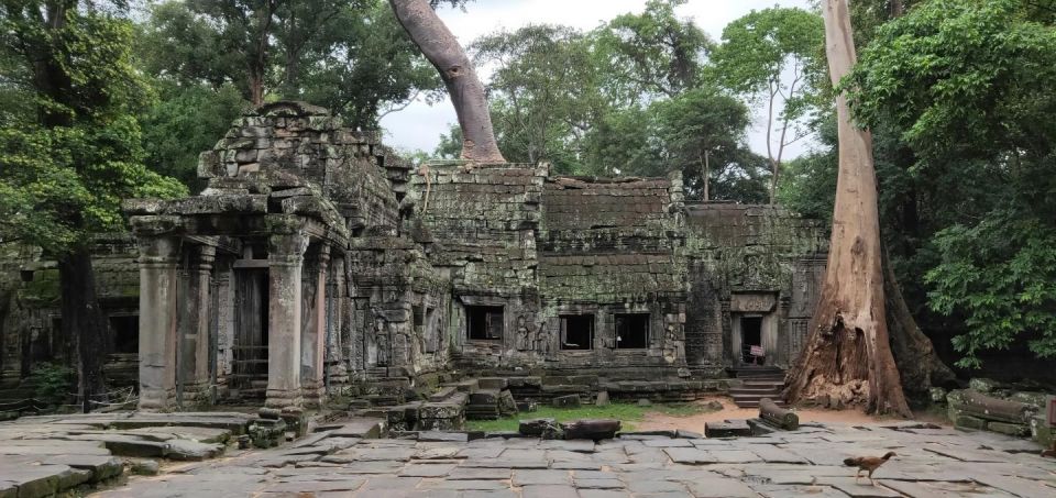 Angkor Wat Temples With Sunrise Tour by Car - Additional Information