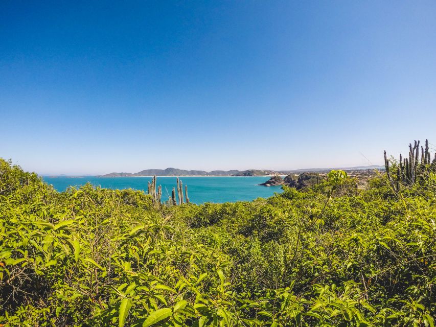 Armação Dos Búzios: Walk Through the Natural Pools in Búzios - Sum Up