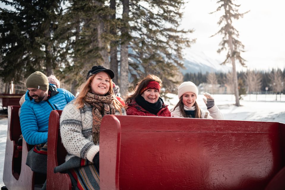 Banff: Family Friendly Horse-Drawn Sleigh Ride - Safety Precautions