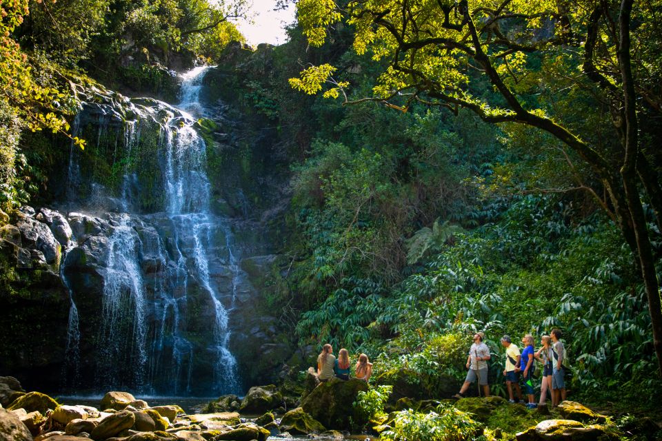 Big Island: Full-Day Kohala Zipline and Waterfall Adventure - Full Description