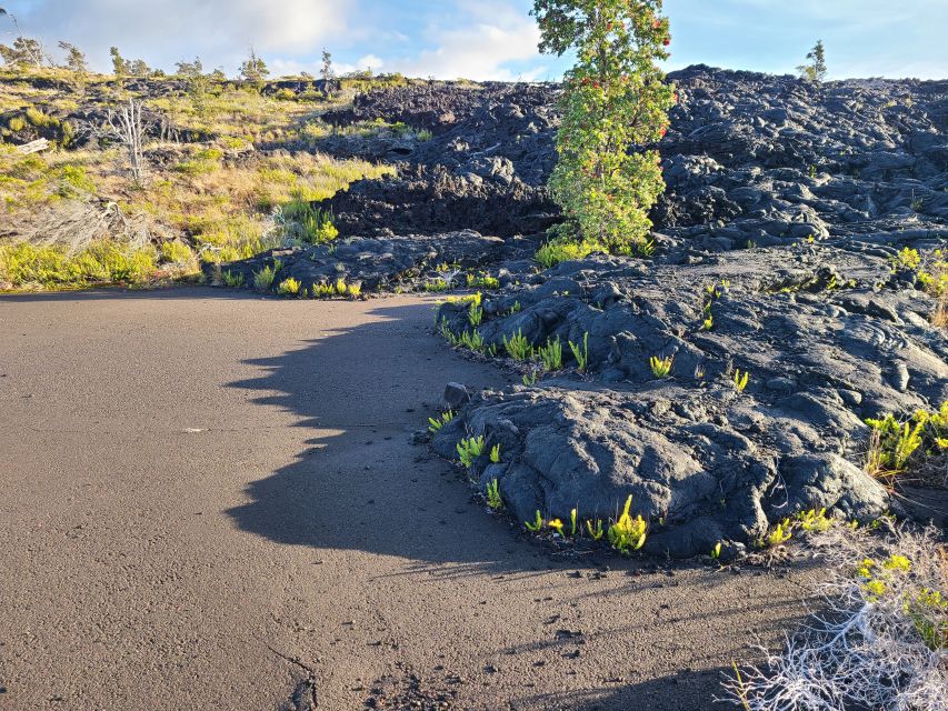 Big Island: Private Volcano Tour - Volcanoes Nat'l Park - Common questions