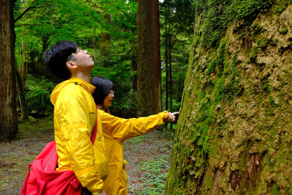 Fm Odawara: Forest Bathing and Onsen With Healing Power - Common questions