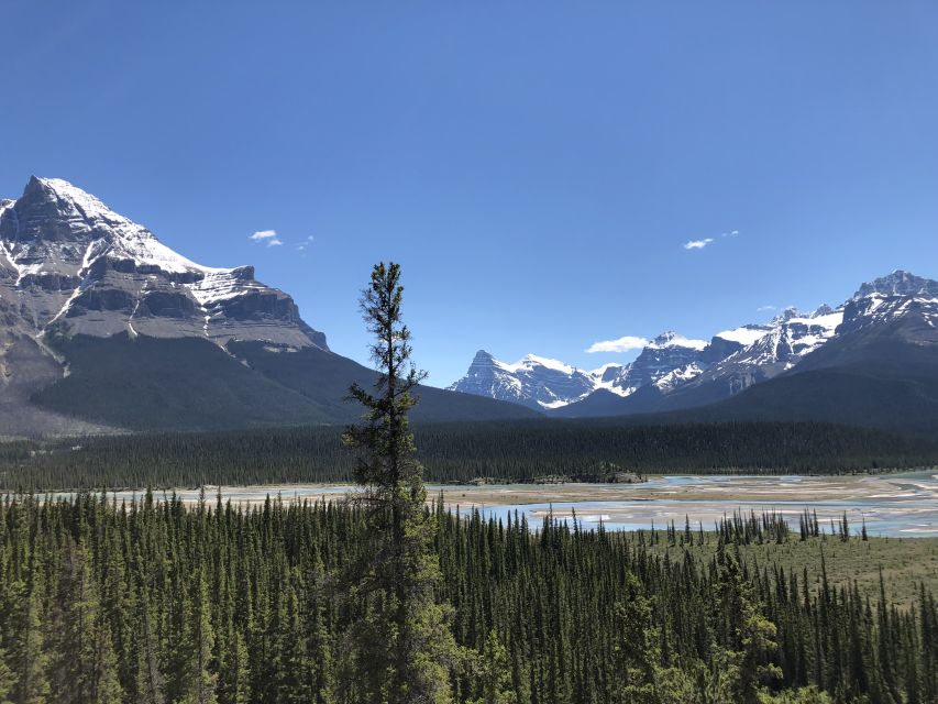From Banff: Icefield Parkway Scenic Tour With Park Entry - Booking Details