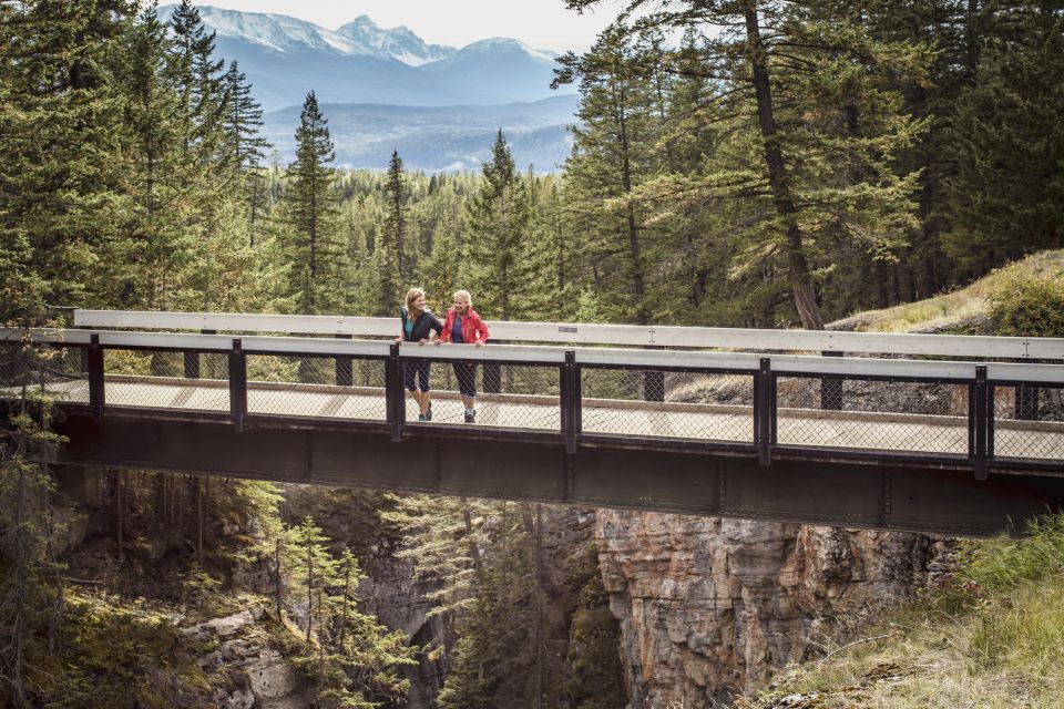 From Jasper: Jasper National Park Wildlife Discovery Tour - Activity Details