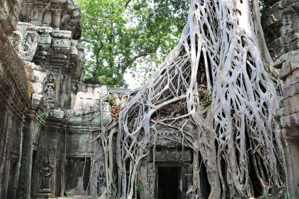 From Siem Reap: 2-Day Small Group Temples Sunrise Tour - Sum Up