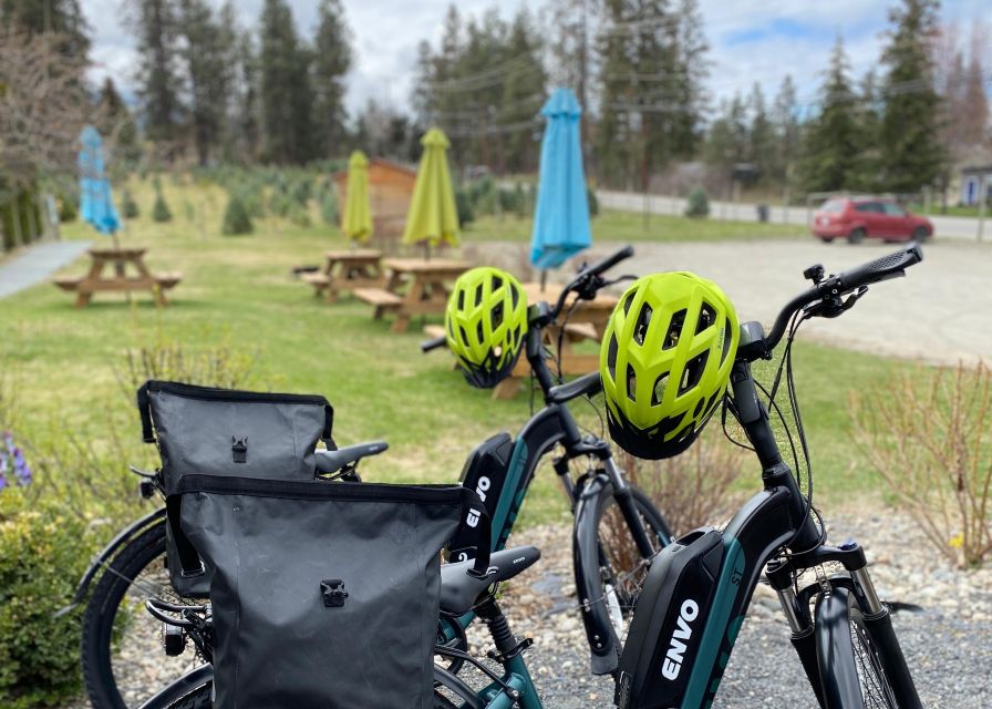 Kelowna: E-Bike Bee Tour W/ Tastings, Lunch, and Audioguide - Sum Up