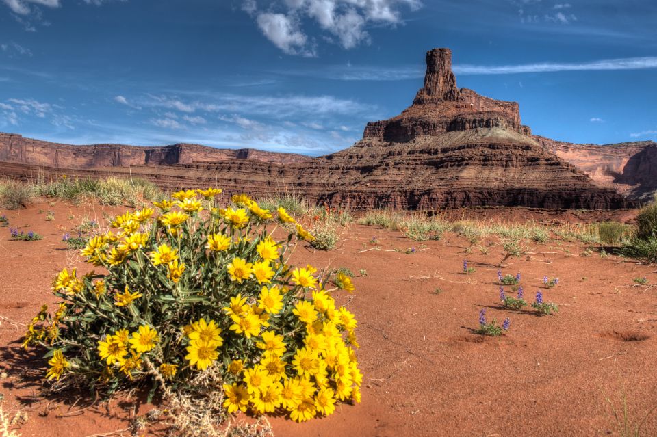 Moab: Canyonlands National Park 4x4 White Rim Tour - Booking Information and Reservation