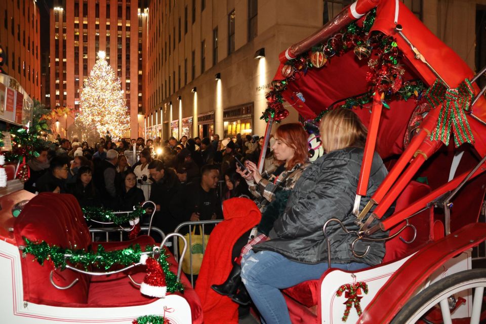 NYC: Magical Christmas Lights Carriage Ride (Up to 4 Adults) - Cancellation Policy