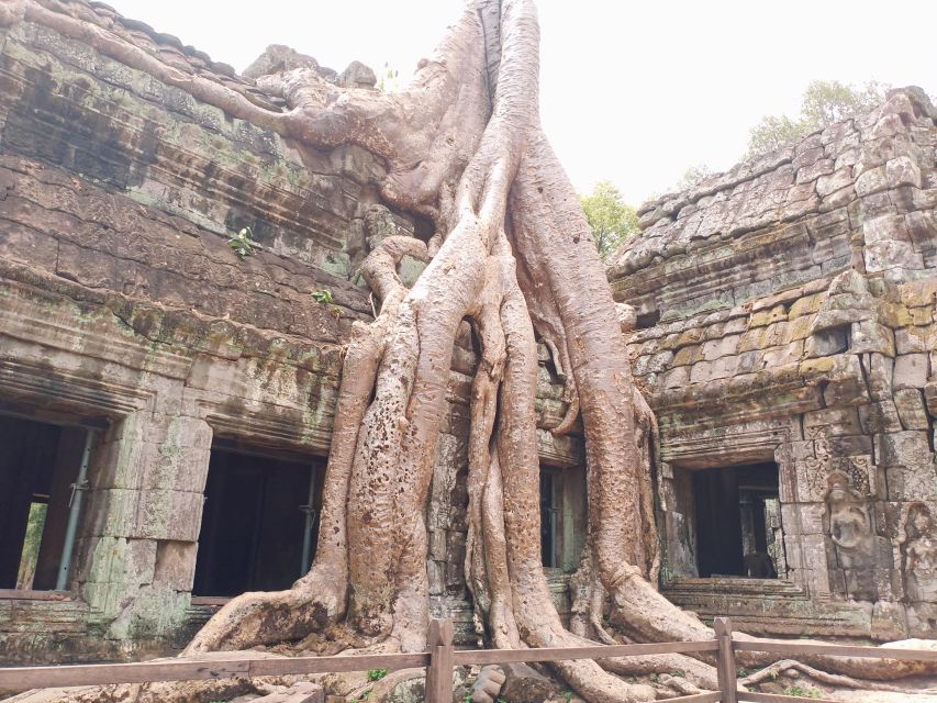 One Day Shared Trip to Angkor Temples With Sunset - Sum Up