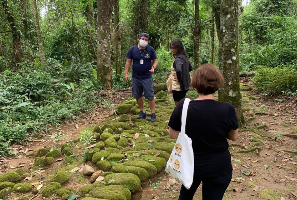 Paraty: Gold Trail Rainforest Hiking Tour - Sum Up