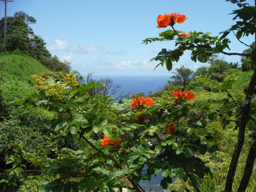 Road to Hana: Private Jungle Tour With Maui West Side Pickup - Pickup Information