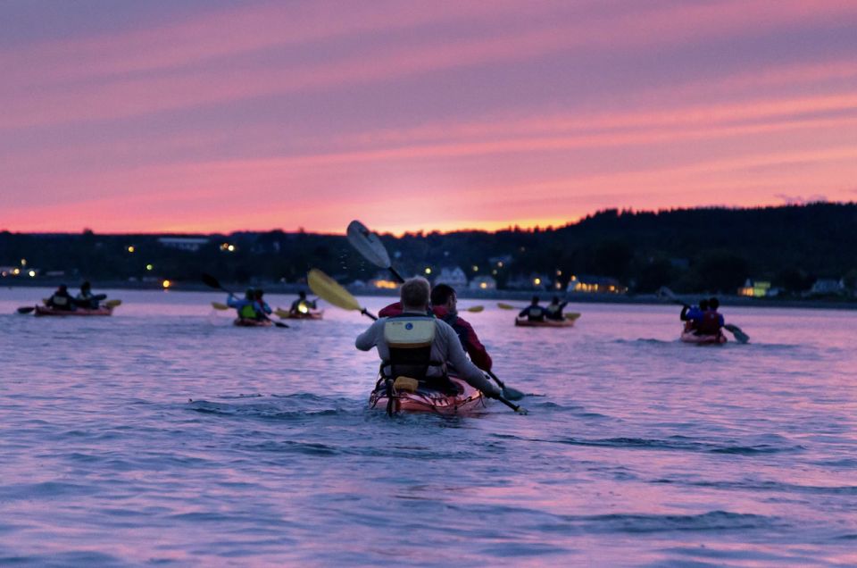 Saint John: Bay of Fundy Guided Kayaking Tour With Snack - What to Bring & Age Requirements