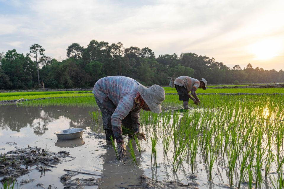 Siem Reap: Afternoon Cooking Class & Village Tour - Common questions