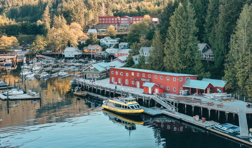 Telegraph Cove: 3-Hour Whale Watching Tour in a Zodiac Boat - Sum Up