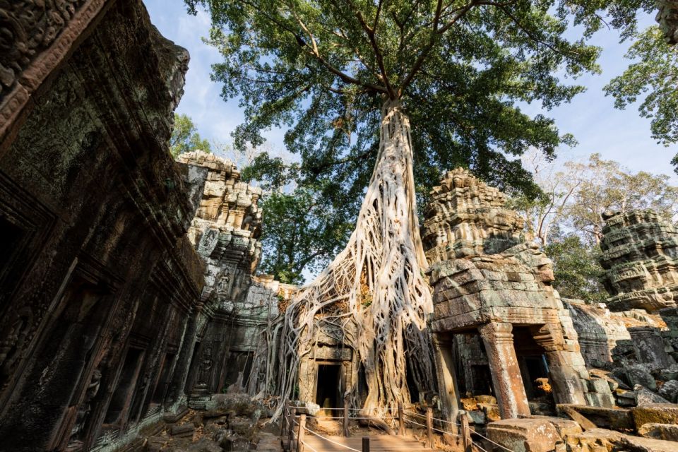 The Wonders of Angkor Private Tour - Sum Up