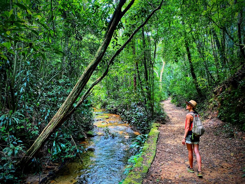 Tijuca Forest: Adventure & History Half-Day Hike - Pickup and Transportation Information