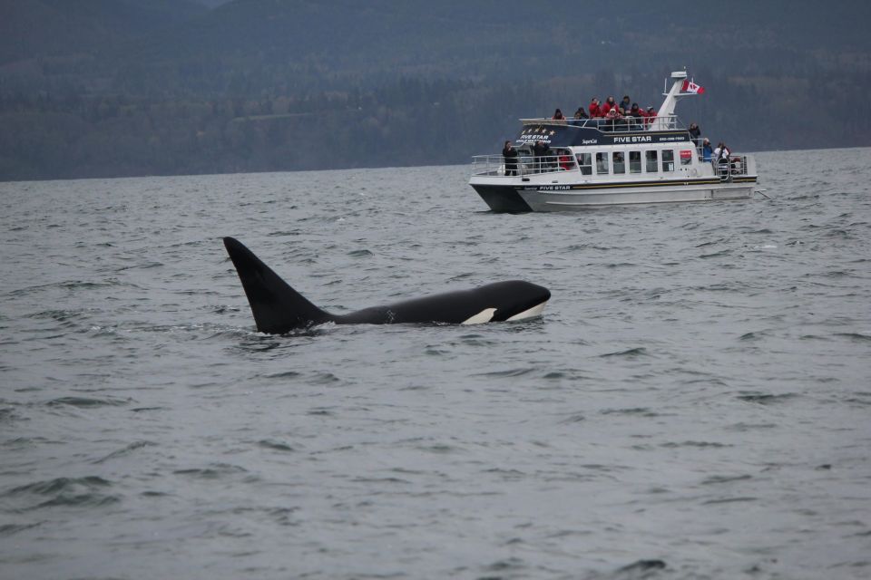 Whale Watching Tour in Victoria, BC - Additional Information