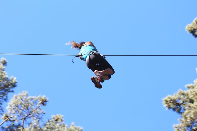 Adrenalin Forest Obstacle Course in the Bay of Plenty - Key Points