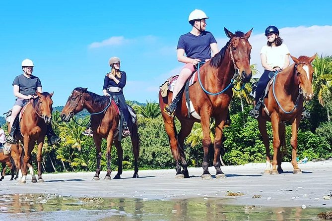 Afternoon Beach Horse Ride in Cape Tribulation - Key Points
