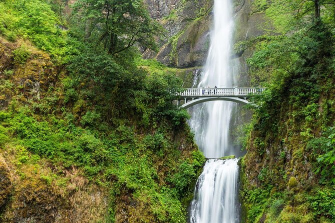 Afternoon Half-Day Multnomah Falls and Columbia River Gorge Waterfalls Tour From Portland - Key Points