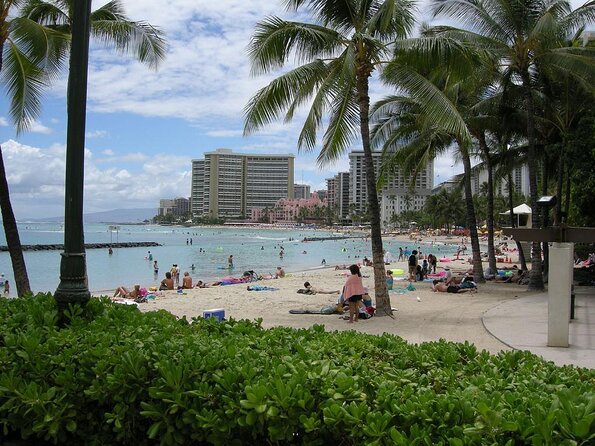 Afternoon Waikiki Glass Bottom Boat Cruise - Key Points