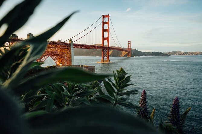 Alcatraz Island Tour Packages - Meeting and Pickup Information