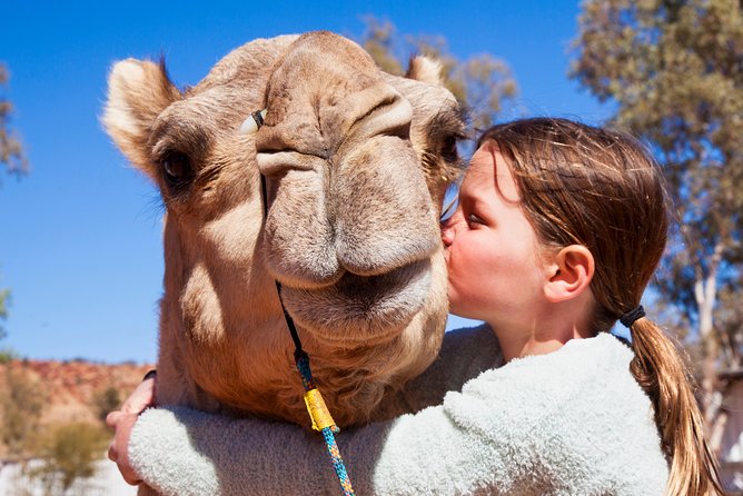 Alice Springs Camel Tour - Key Points