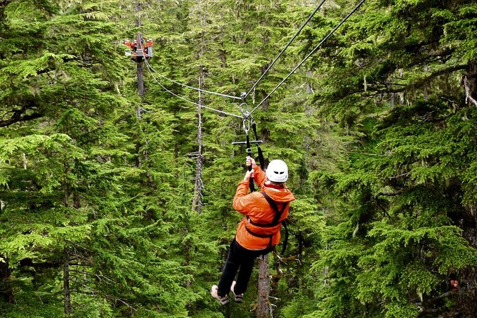 Alpine Zipline Adventure in Juneau, AK - Key Points