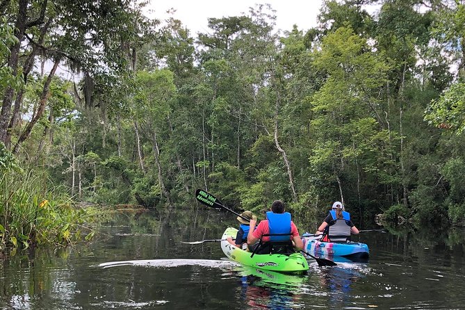Amelia Island Kayak Self-Guided Tour  - Jacksonville - Key Points