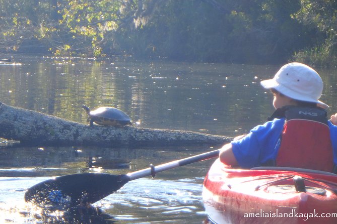 Amelia Island Kayaking Tour  - Jacksonville - What to Bring