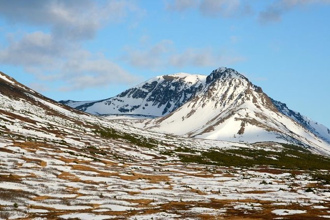 Anchorage Aurora Tour and Northern Lights Photo - Key Points