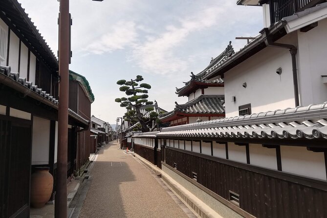 Ancient Nara Walking and Cycling Tour in Asuka - Key Points