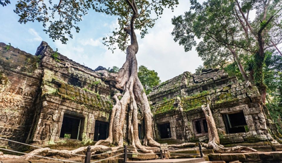 Angkor Wat Sunrise Small Tour - Tour Details