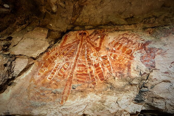 Arnhem Land Yingana Injalak Hill Full Day Tour From Jabiru - Key Points