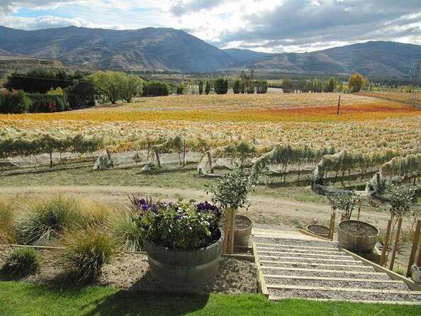 Arrowtown and Wanaka Platinum Tour From Queenstown - Key Points