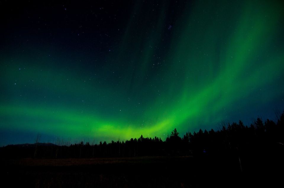 Aurora Borealis Quest: Private Yukon Nighttime Tour - Key Points