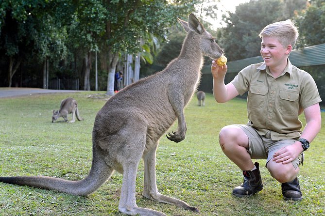 Australia Zoo Day Trip From Brisbane - Key Points