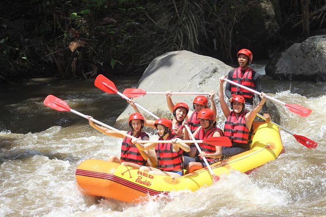 Ayung River - White Water Rafting Bali - Key Points