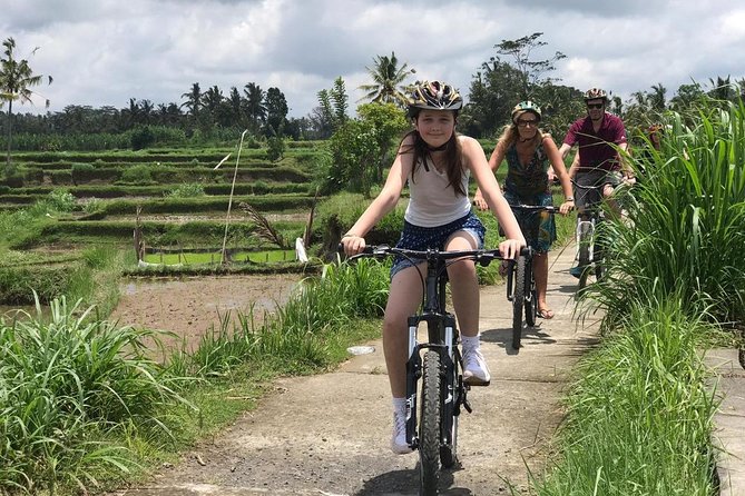 Bali Half-Day Cycling Tour With Lunch  - Ubud - Key Points