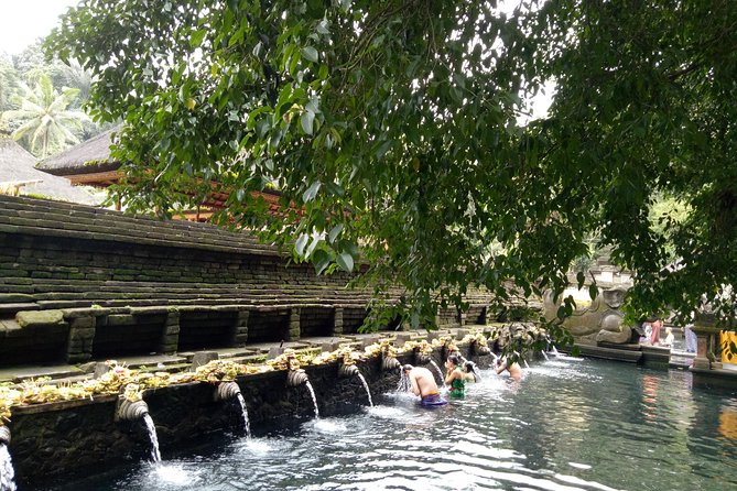 Bali Holy Bathing Ritual and Ubud Highlights Tour - Tour Itinerary Highlights