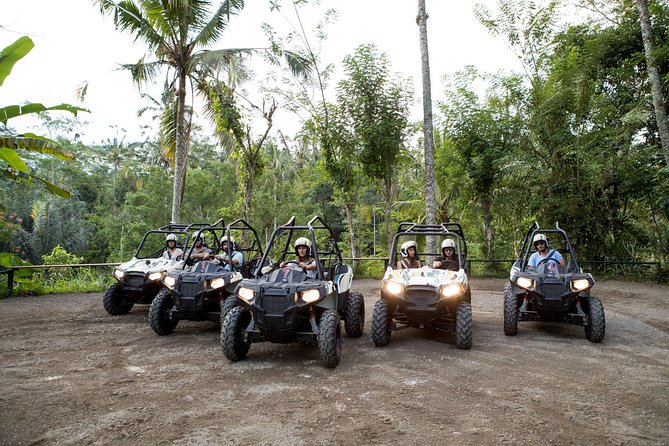 Bali Jungle ATV Half-Day Group Tour  - Kuta - Key Points